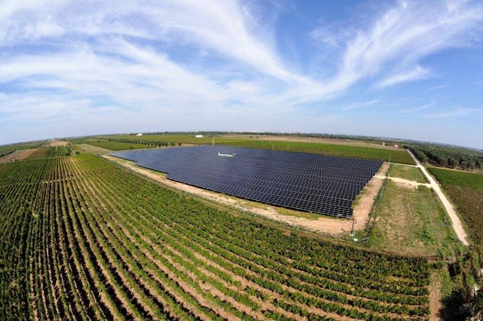Impianto fotovoltaico a terra SUNNERGY GROUP