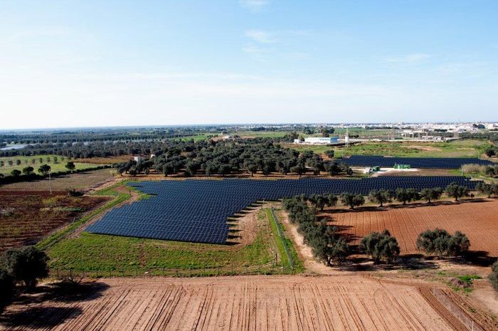 Campo fotovoltaico visto dall'alto
